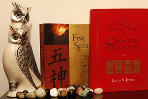 Chinese medicine books on a shelf about kinesiology in Ferntree Gully